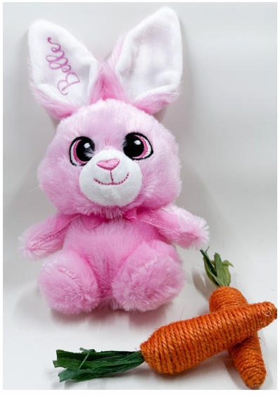 Personalized Easter Bunny Plush – Custom Name Stuffed Animal Gift
