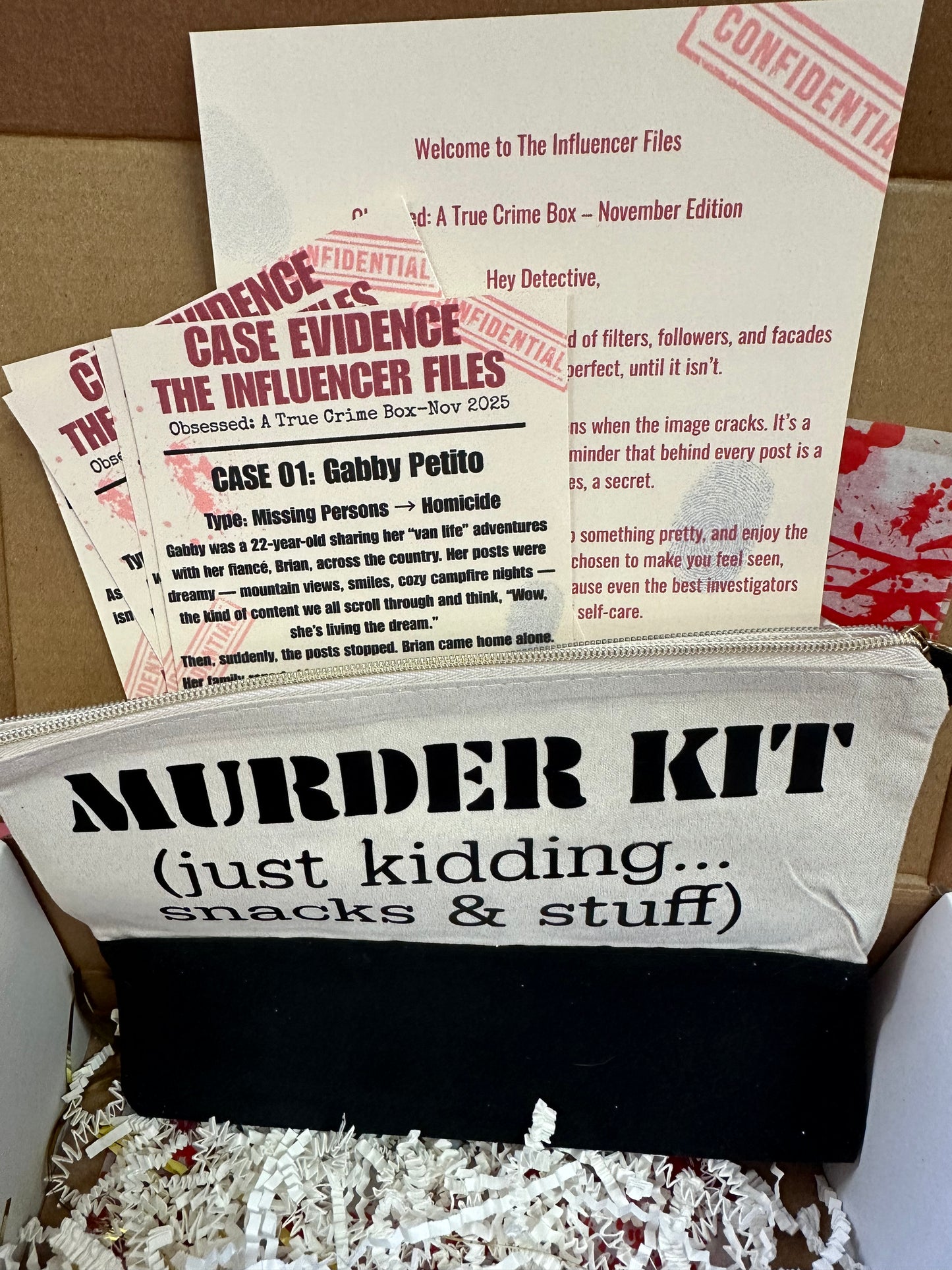 Obsessed:A True Crime Box (The Influencer Files)