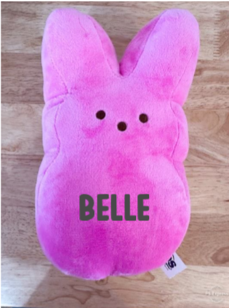 Personalized Plush Easter Peeps β Custom Name Bunny